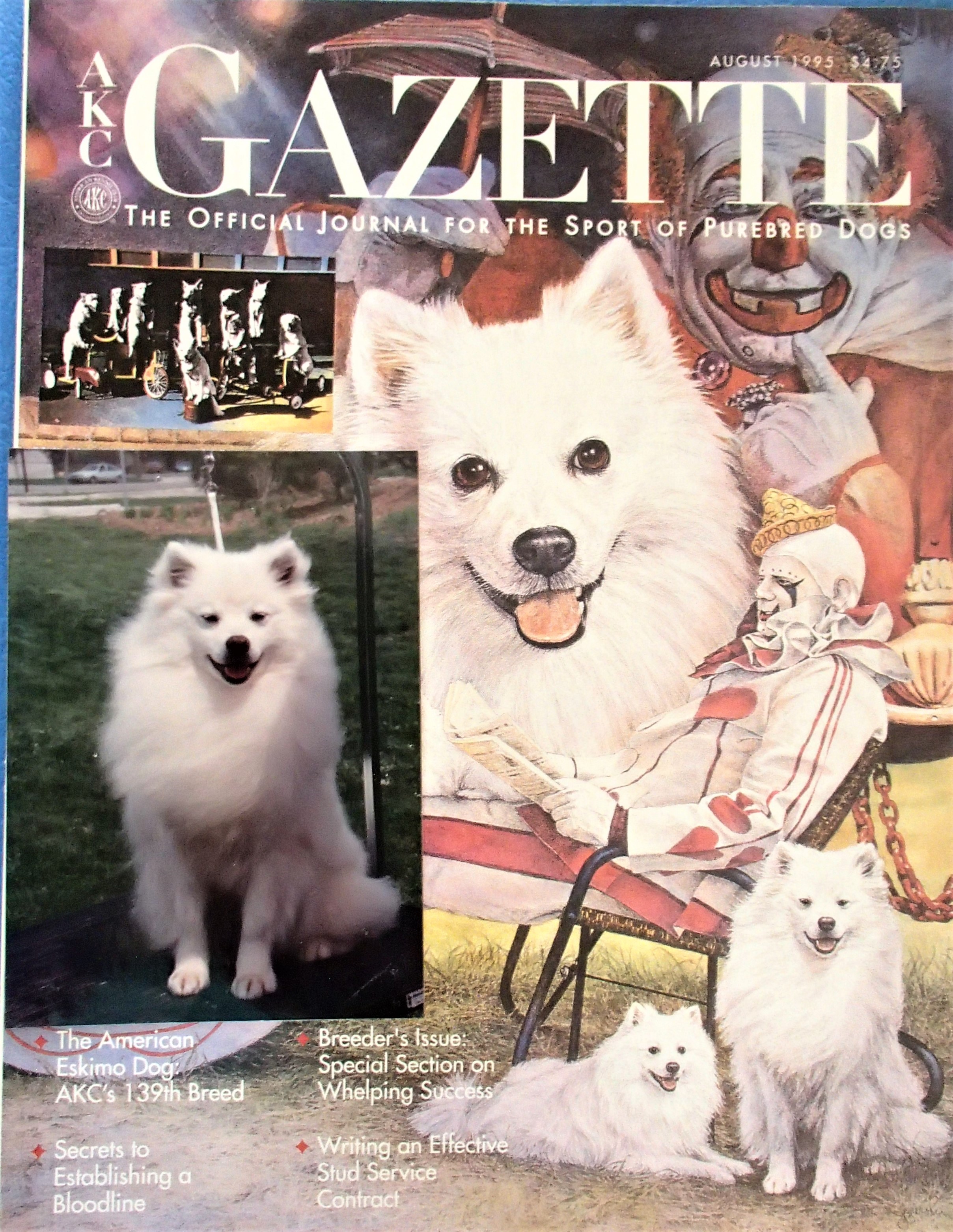 AKC Gazette with Marushka